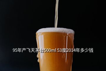 95年產(chǎn)飛天茅臺(tái)500ml 53度2014年多少錢