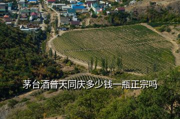 茅臺酒普天同慶多少錢一瓶正宗嗎