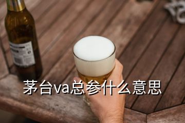茅臺va總參什么意思
