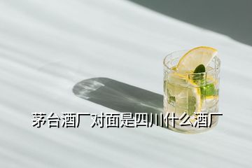 茅臺酒廠對面是四川什么酒廠
