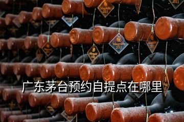 廣東茅臺預(yù)約自提點(diǎn)在哪里