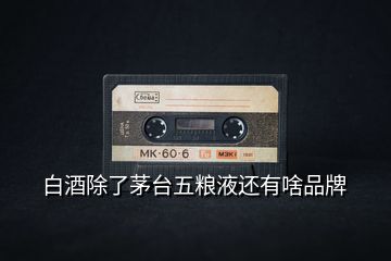 白酒除了茅臺五糧液還有啥品牌