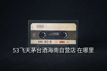 53飛天茅臺(tái)酒海南自營(yíng)店 在哪里