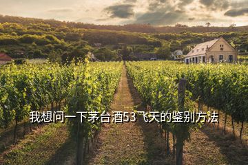 我想問(wèn)一下茅臺(tái)酒53飛天的鑒別方法