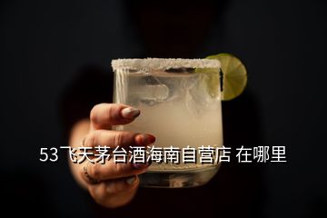 53飛天茅臺(tái)酒海南自營店 在哪里