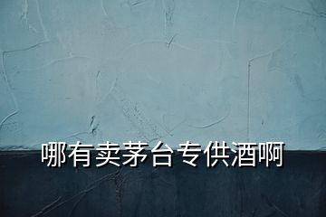 哪有賣茅臺(tái)專供酒啊