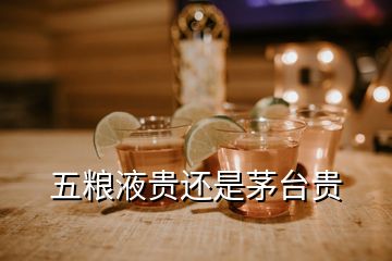 五糧液貴還是茅臺貴