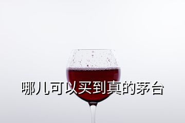 哪兒可以買到真的茅臺