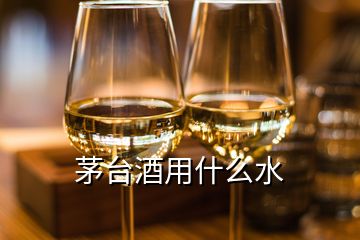 茅臺(tái)酒用什么水