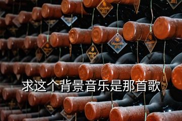 求這個背景音樂是那首歌