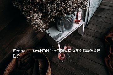 神舟 hasee 飛天ui47d4 14英寸超級(jí)本 京東賣(mài)4300怎么樣性?xún)r(jià)