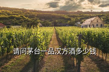 請(qǐng)問(wèn)茅臺(tái)一品漢方酒多少錢