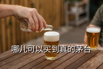 哪兒可以買到真的茅臺(tái)