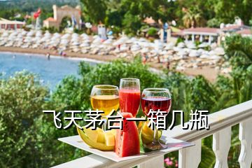 飛天茅臺(tái)一箱幾瓶
