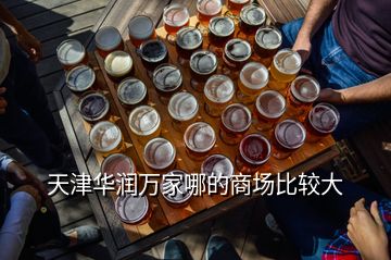 天津華潤萬家哪的商場(chǎng)比較大