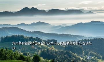 貴州茅臺(tái)被撤銷國(guó)家企業(yè)技術(shù)中心資格茅臺(tái)為什么也談科技