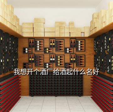 我想開個酒廠給酒起什么名好