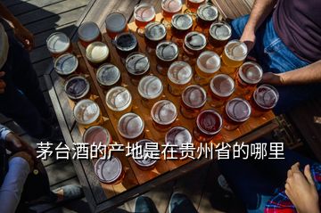 茅臺酒的產地是在貴州省的哪里
