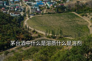 茅臺酒中什么是溶質(zhì)什么是溶劑