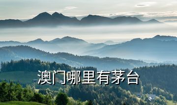 澳門(mén)哪里有茅臺(tái)