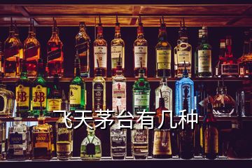 飛天茅臺(tái)有幾種