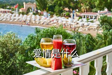 愛(ài)情是什么