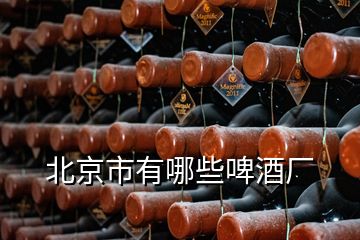 北京市有哪些啤酒廠(chǎng)