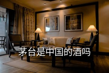 茅臺(tái)是中國(guó)的酒嗎