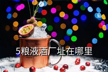 5糧液酒廠址在哪里