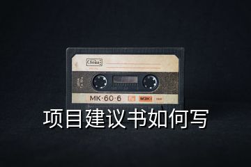 項(xiàng)目建議書如何寫
