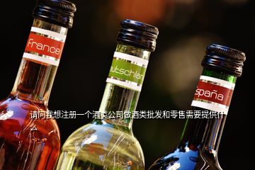 請問我想注冊一個(gè)酒類公司做酒類批發(fā)和零售需要提供什么