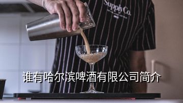 誰(shuí)有哈爾濱啤酒有限公司簡(jiǎn)介