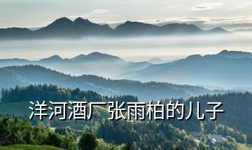 洋河酒廠(chǎng)張雨柏的兒子