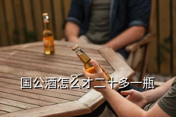 國公酒怎么才二十多一瓶