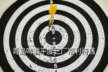 青島啤酒平度三廠福利待遇