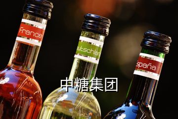 中糖集團(tuán)