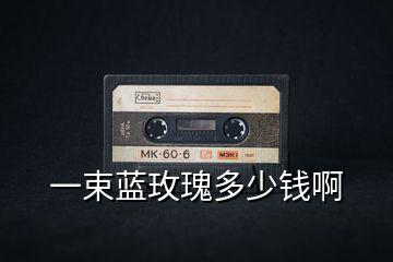 一束藍(lán)玫瑰多少錢(qián)啊