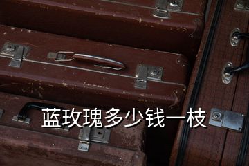 藍(lán)玫瑰多少錢(qián)一枝