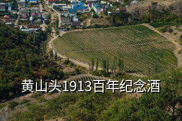 黃山頭1913百年紀(jì)念酒
