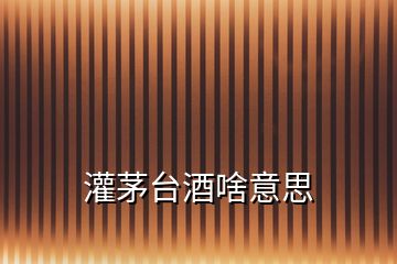 灌茅臺(tái)酒啥意思