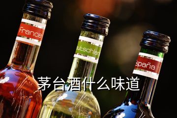 茅臺(tái)酒什么味道