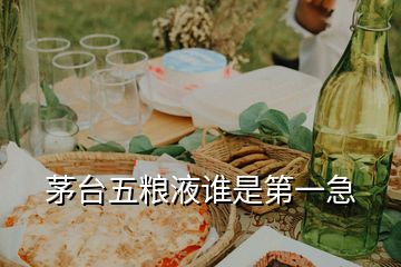 茅臺(tái)五糧液誰(shuí)是第一急