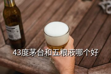 43度茅臺(tái)和五糧液哪個(gè)好