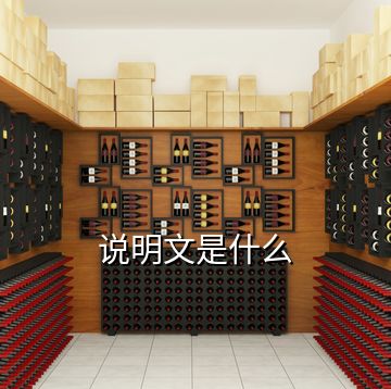 說(shuō)明文是什么
