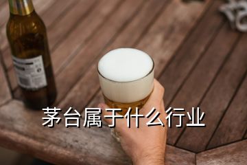 茅臺(tái)屬于什么行業(yè)