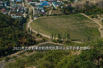 2021年北京到茅臺(tái)機(jī)場(chǎng)憑機(jī)票可以買平價(jià)茅臺(tái)酒嗎