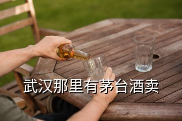 武漢那里有茅臺(tái)酒賣