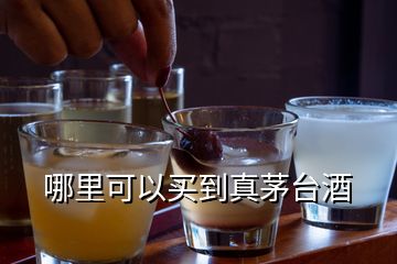 哪里可以買到真茅臺酒