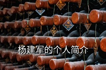 楊建軍的個(gè)人簡介