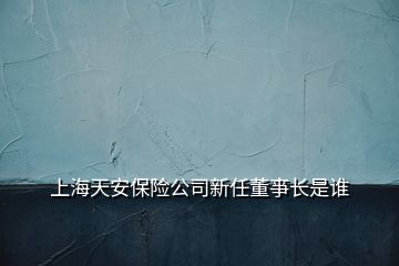 上海天安保險(xiǎn)公司新任董亊長(zhǎng)是誰